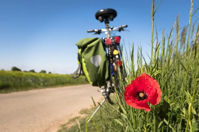 10 Unique Leisure Activities to Boost Your Creativity