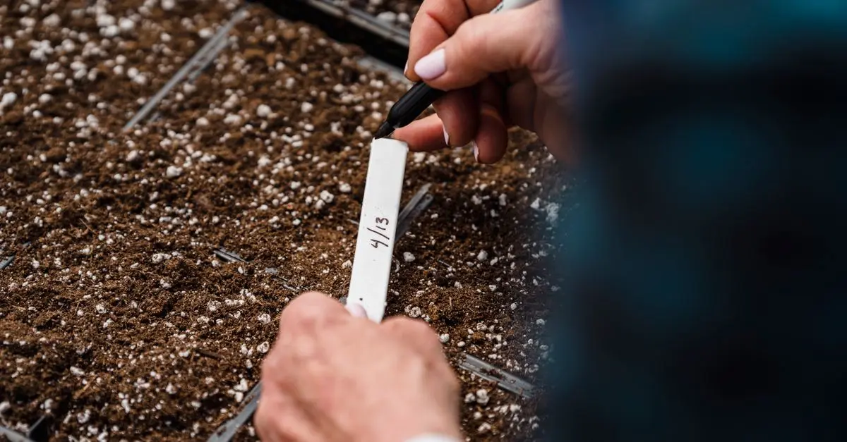 The Essentials of Starting a Garden at Home
