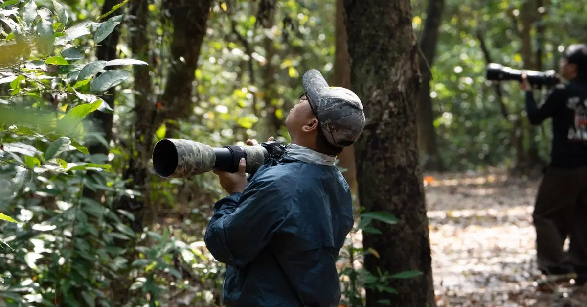 Guide to Bird Watching for Beginners