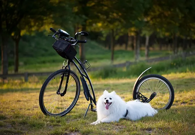 Creative Leisure Activities to Try for Relaxation and Joy