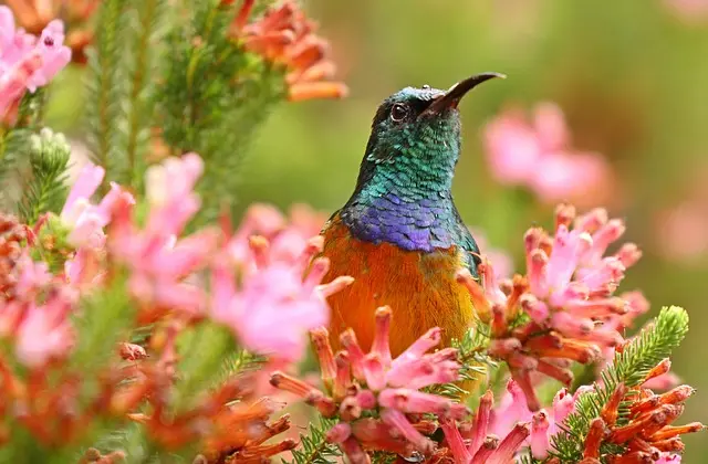 10 Fun and Engaging Leisure Activities to Brighten Your Day