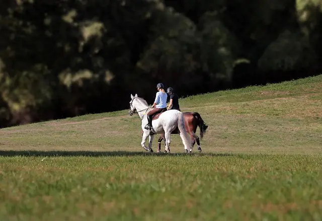 The Latest Trends in Leisure Activities for 2026