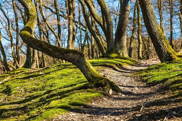 Top 10 Leisure Activities for Energizing Your Free Time