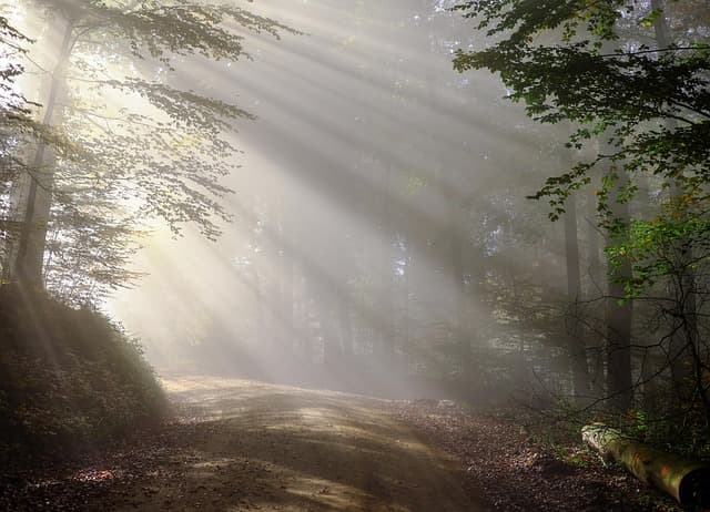10 Unique Leisure Activities to Boost Your Creativity